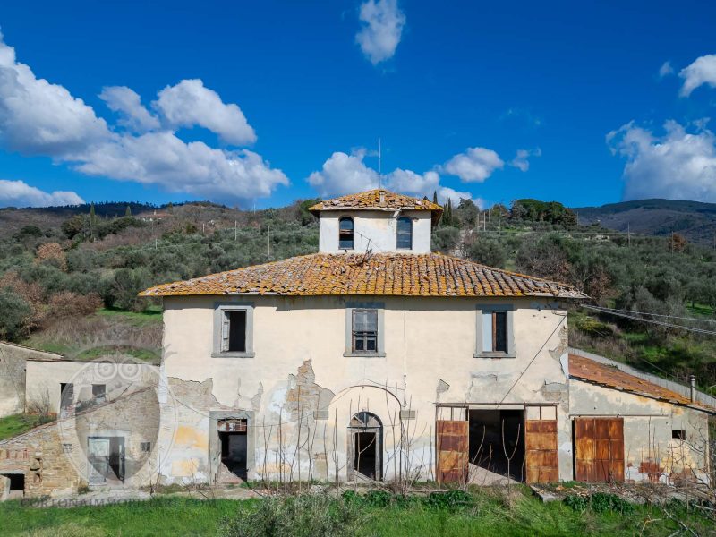 Leopoldina con annessi e terreno