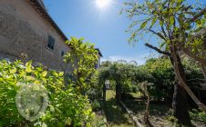 Appartamento in centro con giardino