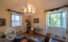 Apartment in the center with garden