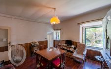 Apartment in the center with garden
