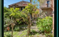 Apartment in the center with garden