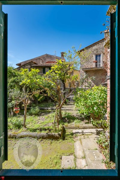 Apartment in the center with garden