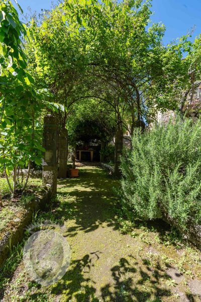 Appartamento in centro con giardino