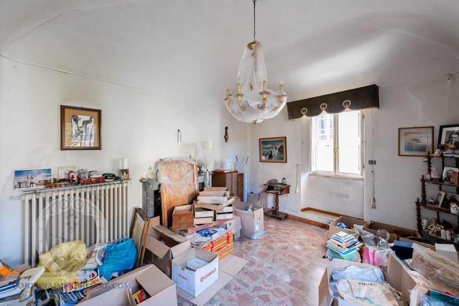 Apartment in the center with garden