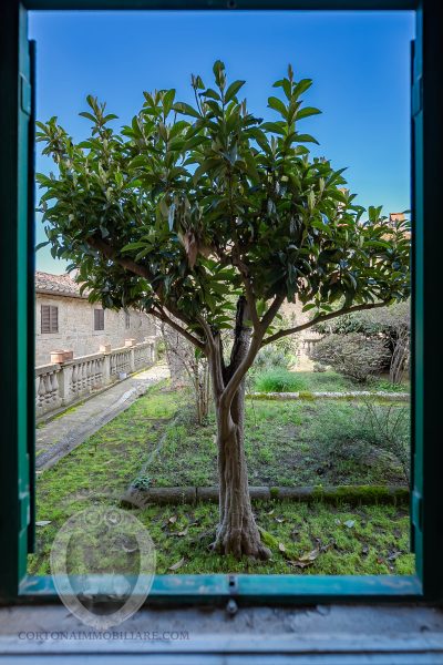 Appartamento in centro con giardino