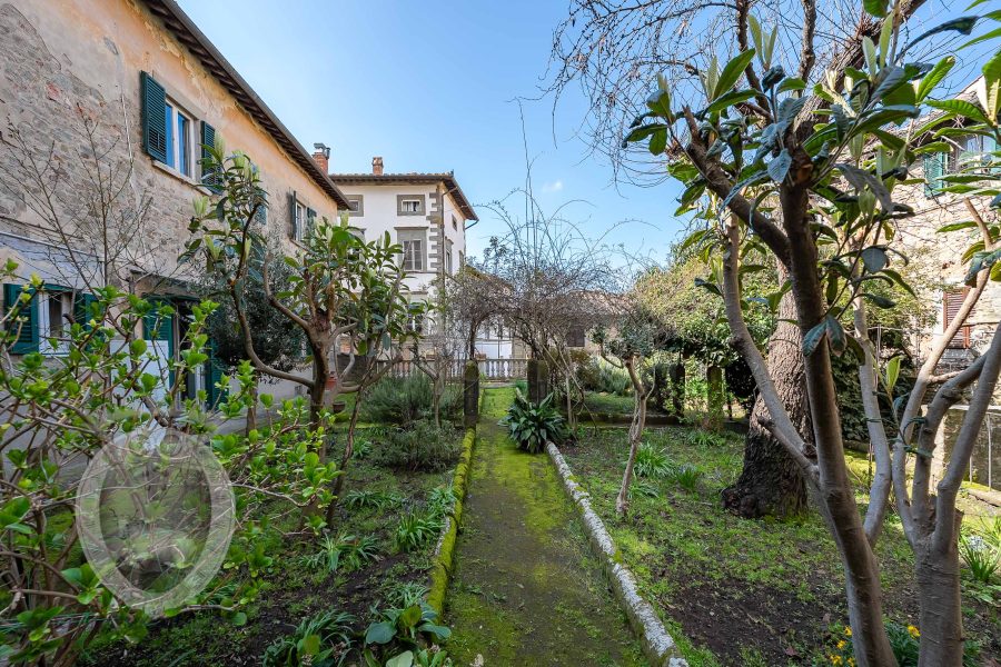 Apartment in the center with garden
