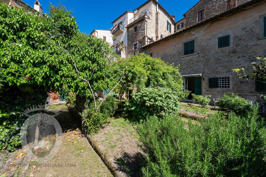 Apartment in the center with garden