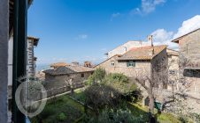 Apartment in the center with garden