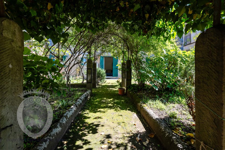 Apartment in the center with garden
