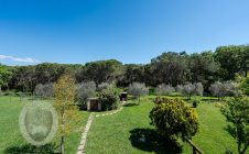 Colonica con giardino e annesso