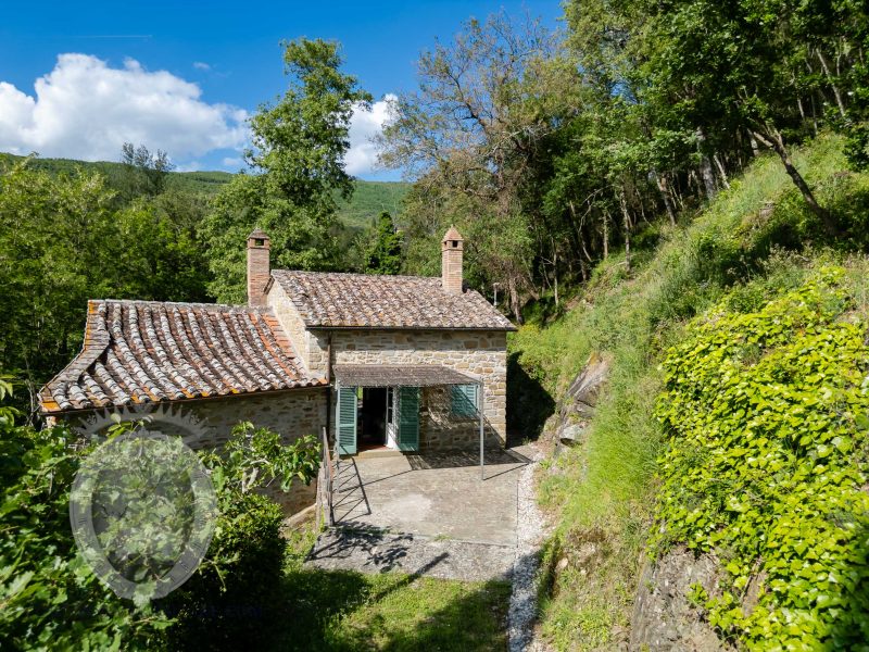Casale in pietra con terreno