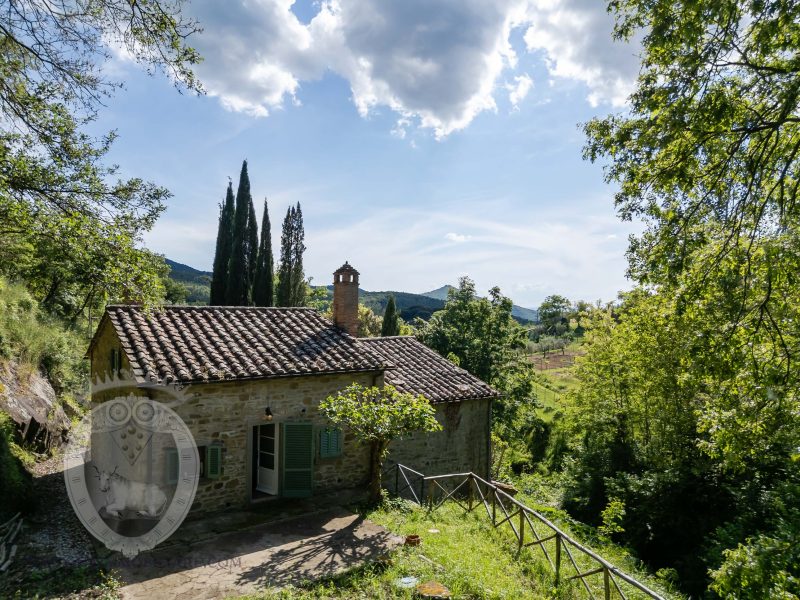 Casale in pietra con terreno
