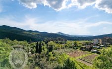 Casale in pietra con terreno