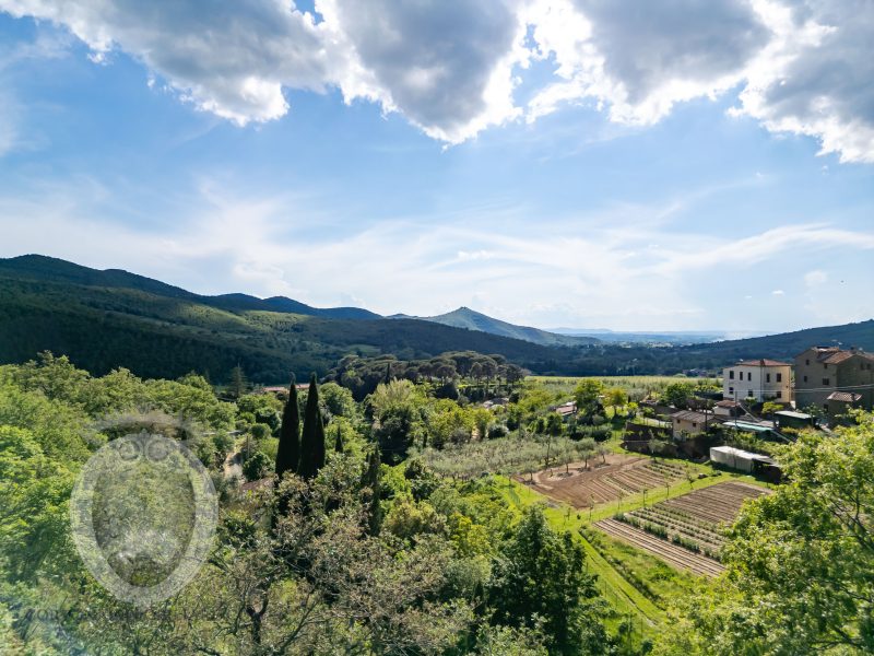 Casale in pietra con terreno