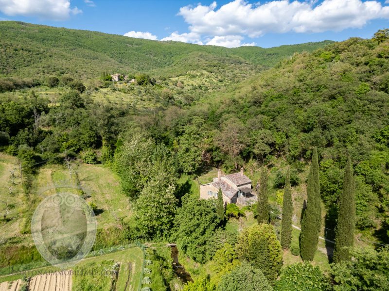 Casale in pietra con terreno