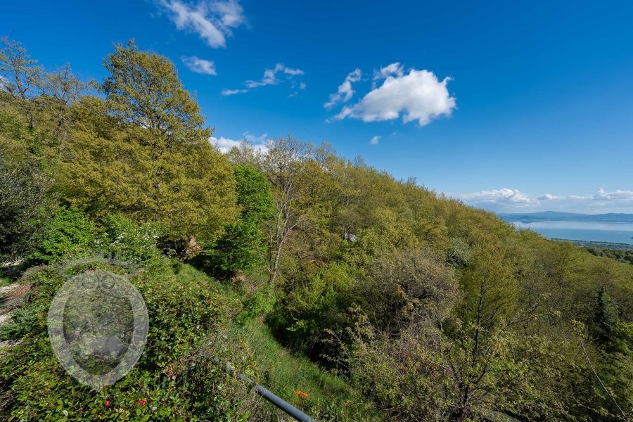 Villa con vista lago e giardino