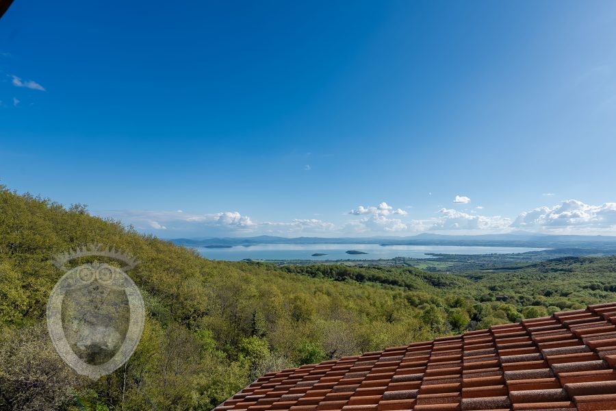 Villa con vista lago e giardino