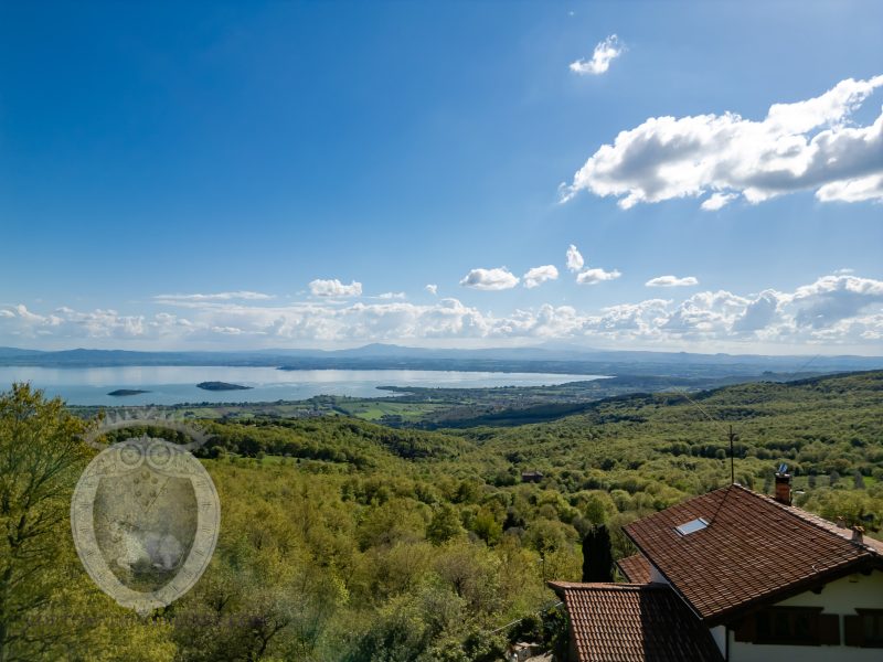Villa with lake view and garden
