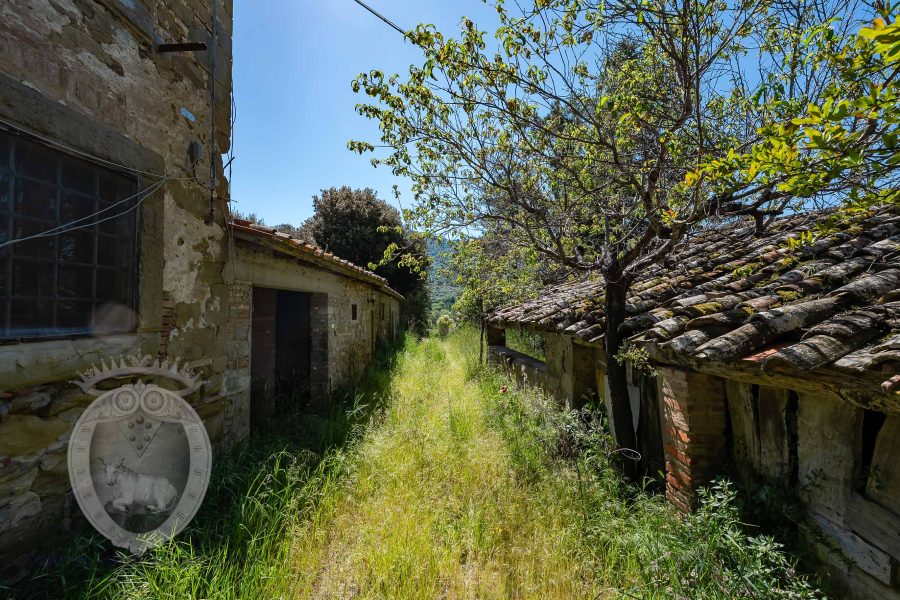 Farmhouse with land
