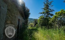 Farmhouse with land