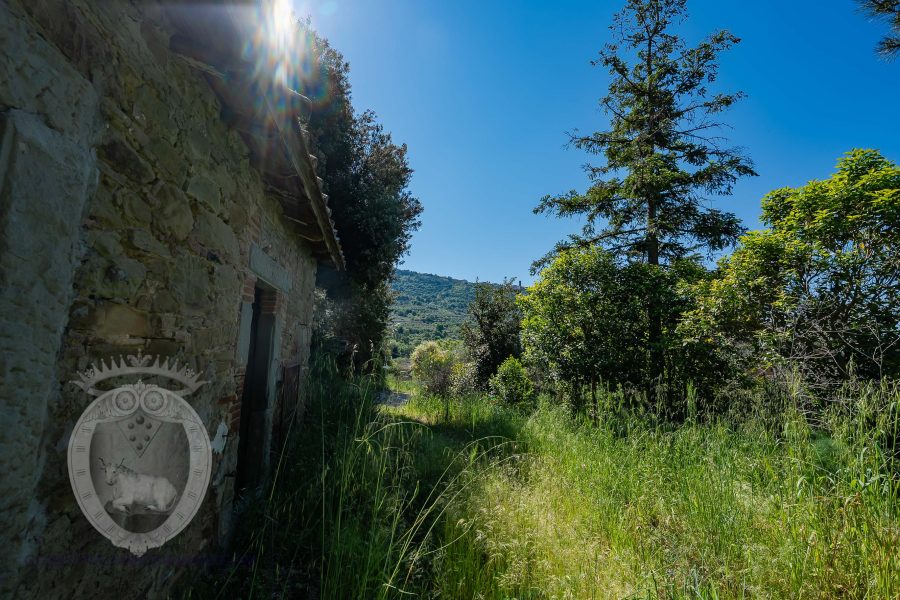 Farmhouse with land