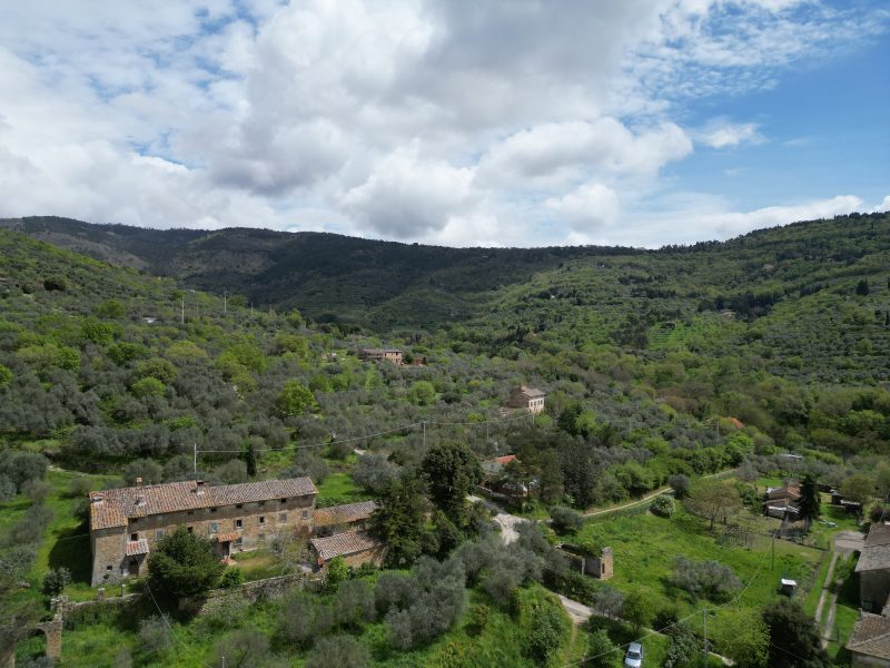 Colonica con terreno