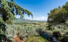 Villa with garden and swimming pool