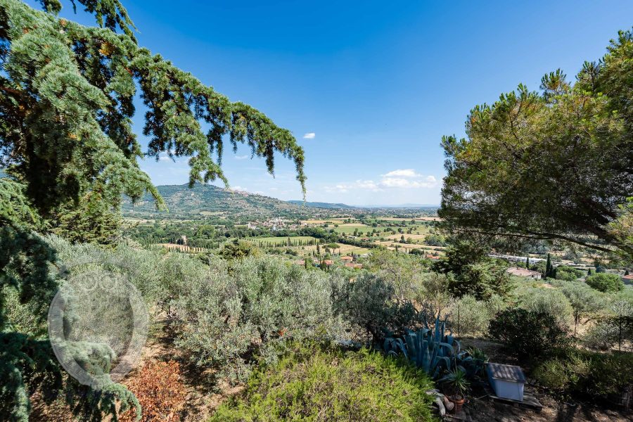 Villa with garden and swimming pool
