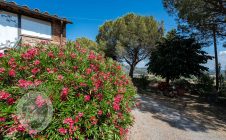 Villa con giardino e piscina