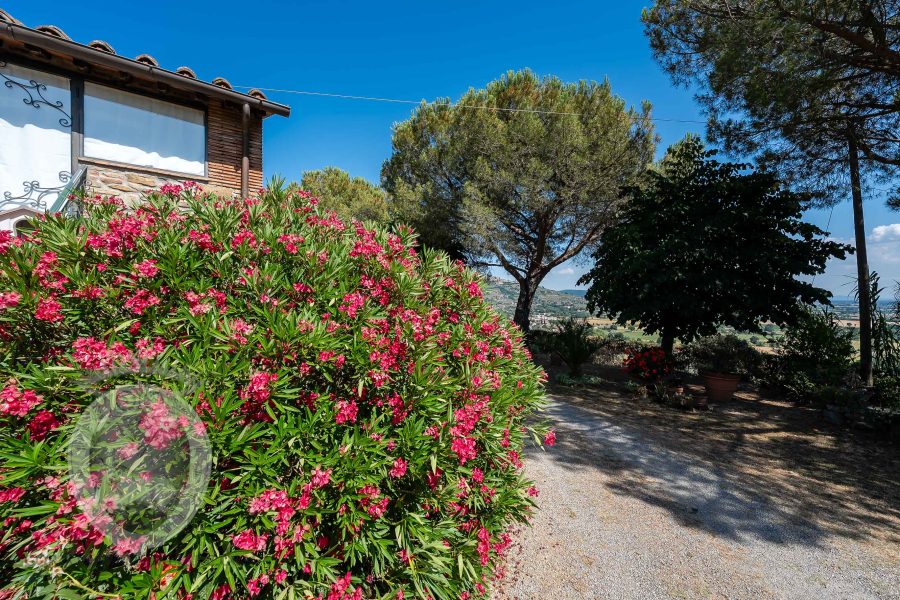 Villa con giardino e piscina