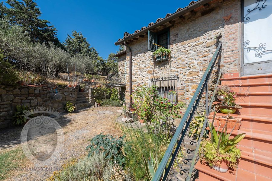 Villa with garden and swimming pool