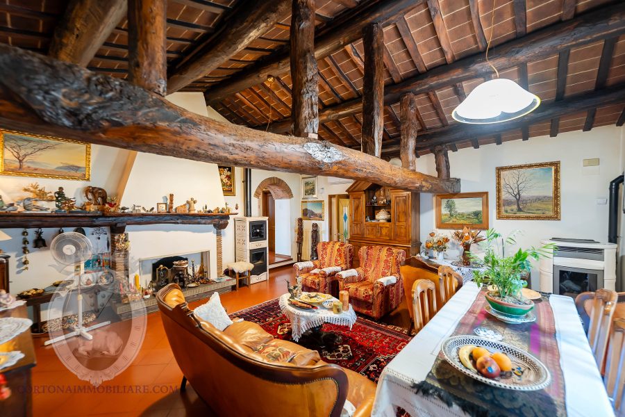 Villa with garden and swimming pool