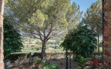 Villa with garden and swimming pool