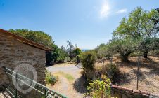 Villa with garden and swimming pool
