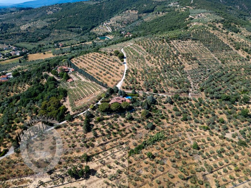Villa con giardino e piscina