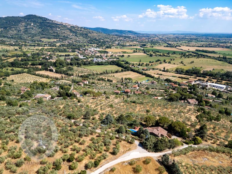 Villa with garden and swimming pool