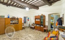 Apartment in the center