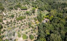 Casolare in pietra con vista e giardino
