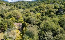 Casolare in pietra con vista e giardino