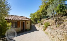 Farmhouse with view, land and outbuildings