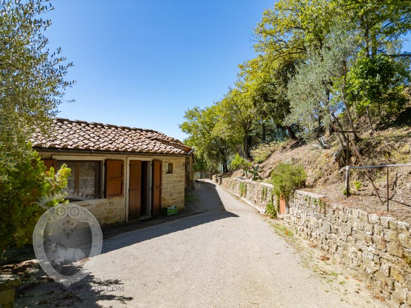 Farmhouse with view, land and outbuildings