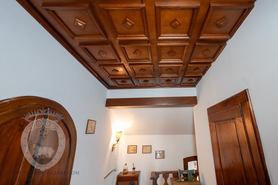 Apartment in the center