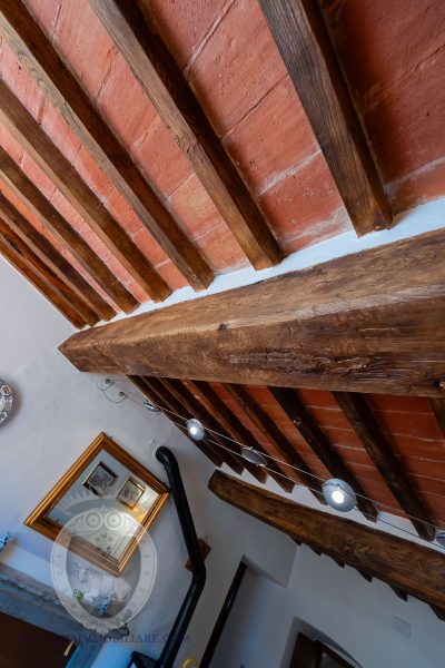 Appartamento con giardino e garage