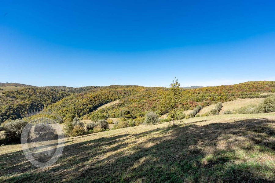 Casale con vista e piscina