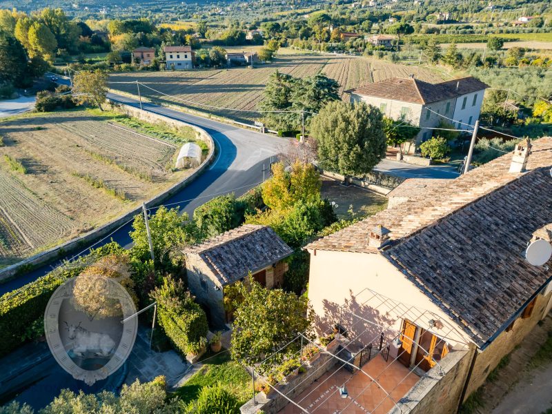 Colonica con giardino piscina e annessi