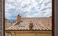 Apartment in the center