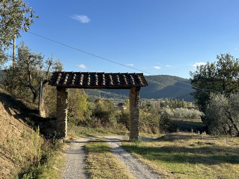 farmhouse with swimming pool