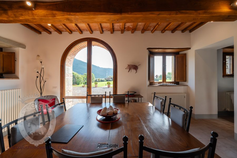 Villa with pool and garden