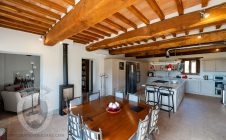 Villa with pool and garden