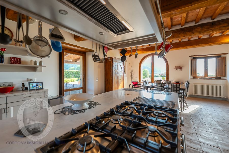 Villa with pool and garden